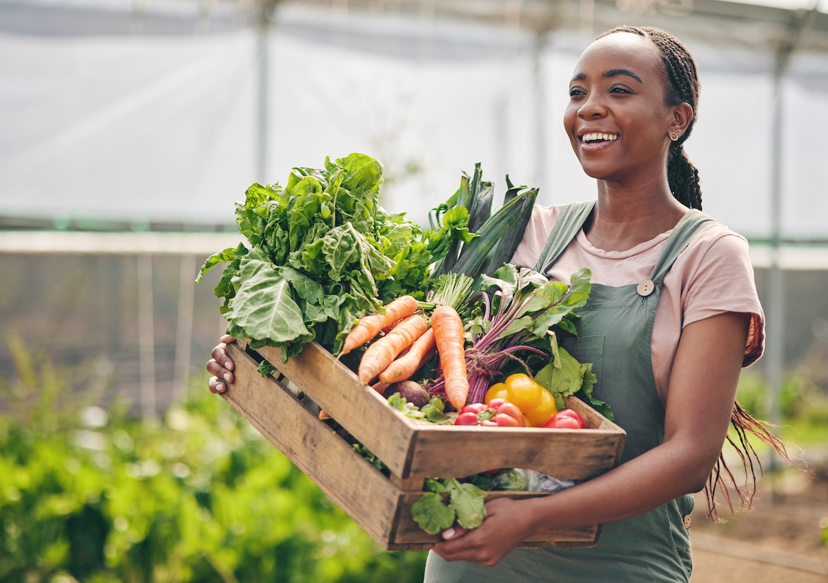 Food Insecurity in Our Community: What's Happening and How You Can Help ...